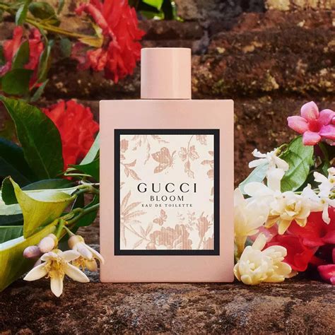 gucci bloom eau de toilette 100ml|gucci bloom fragrantica.